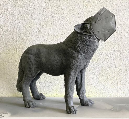 Wolf in Sheep`s COVID Clothing - 2021